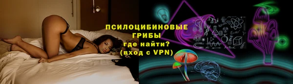 мескалин Алексин