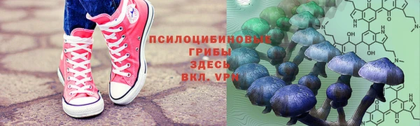 мескалин Алексин